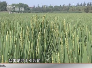 武進(jìn)新聞
