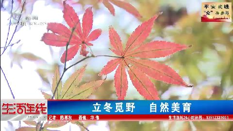 武進新聞
