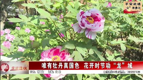 武進(jìn)新聞