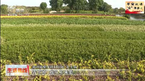 武進新聞