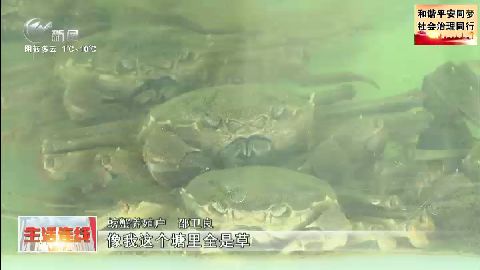 武進(jìn)新聞