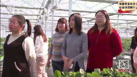 武進新聞