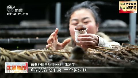 武進新聞