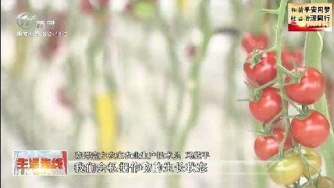 武進新聞