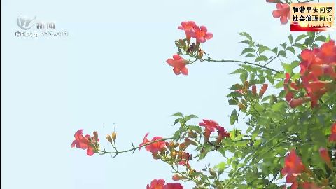 武進(jìn)新聞