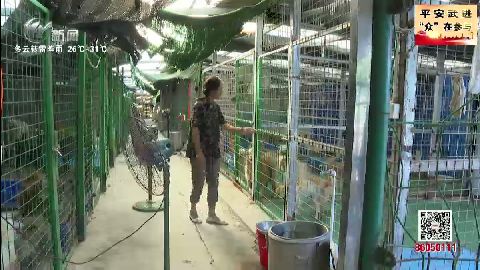 武進新聞