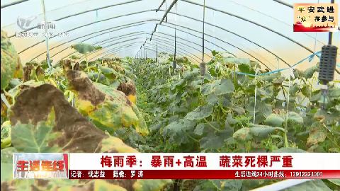 武進新聞