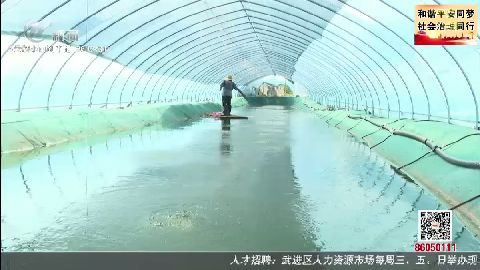 武進新聞