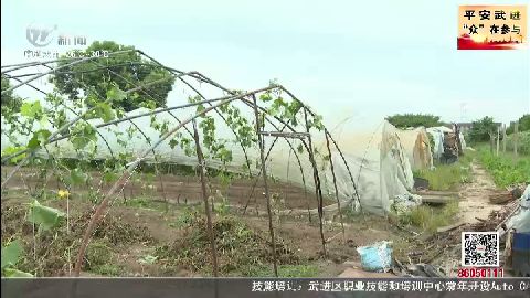 武進新聞