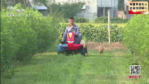 武進新聞