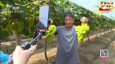 武進新聞