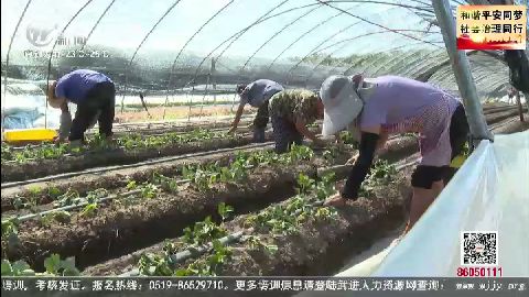 武進新聞
