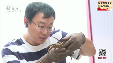 武進(jìn)新聞