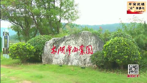 武進新聞