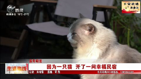 武進新聞