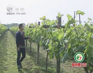 武進新聞