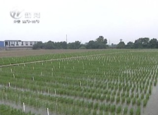 武進(jìn)新聞
