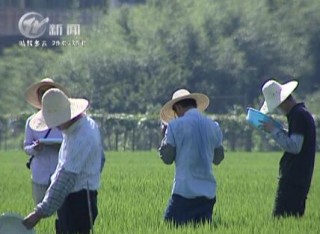 武進新聞