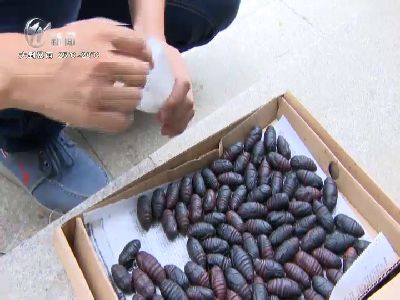 武進(jìn)新聞