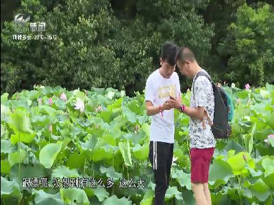 武進新聞