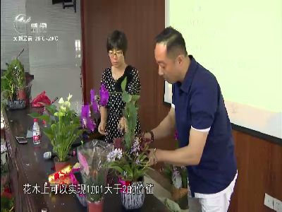 武進新聞