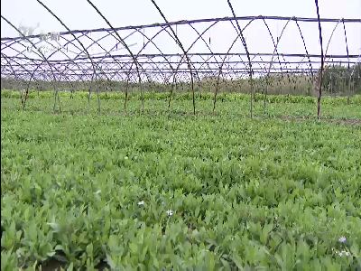 武進(jìn)新聞