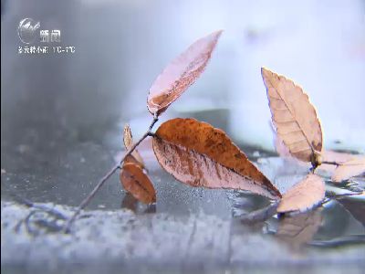 武進(jìn)新聞