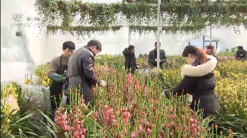武進新聞