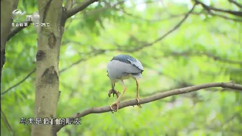 武進(jìn)新聞