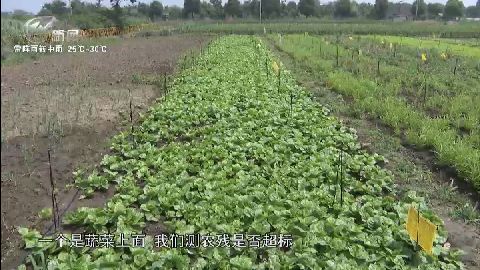 武進(jìn)新聞