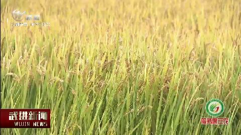 武進新聞