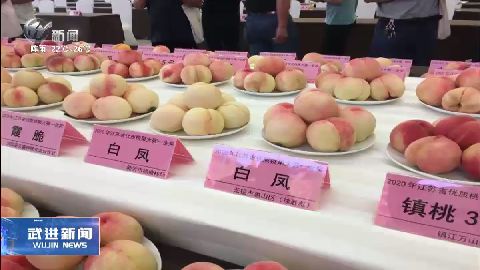 武進新聞