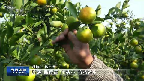 武進(jìn)新聞