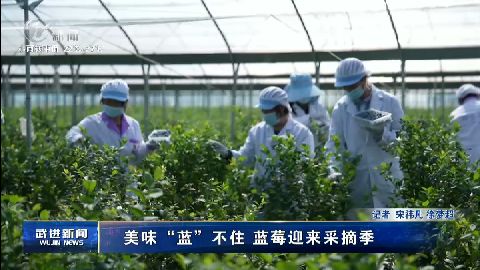 武進(jìn)新聞
