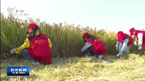 武進新聞