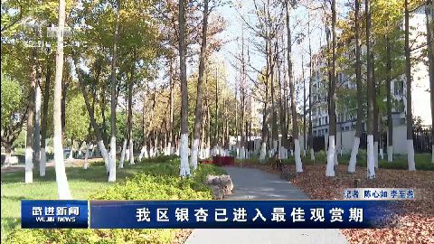 武進新聞