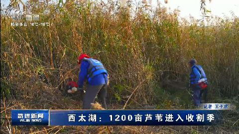 武進新聞