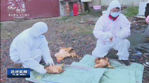 武進新聞