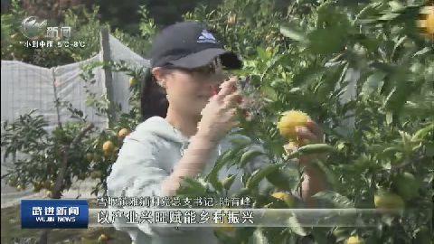 武進新聞