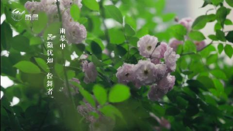 武進(jìn)新聞
