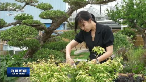 武進新聞