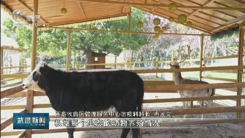 武進新聞