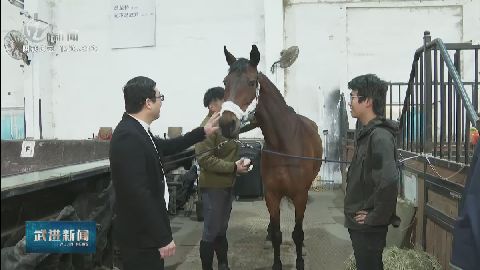 武進新聞