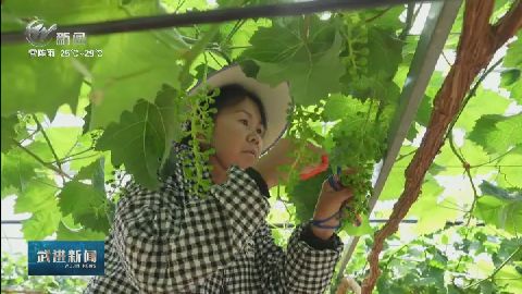 武進新聞
